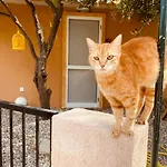 펜션 Bananahouse Trapeza (Kefalonia)