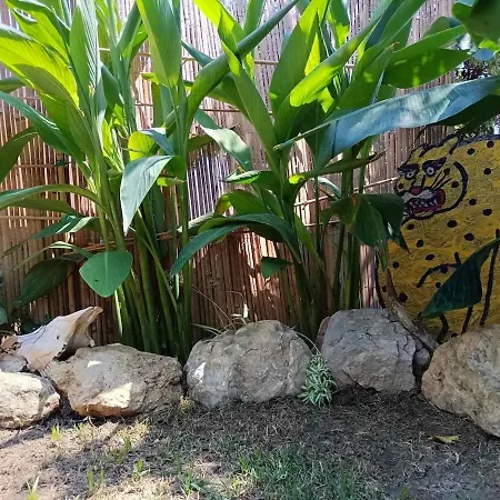 Bananahouse