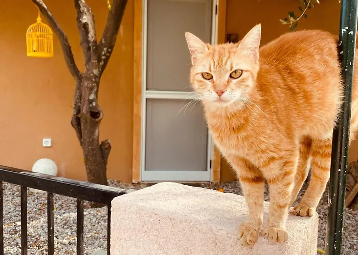 別荘 Bananahouse Trapeza (Kefalonia)